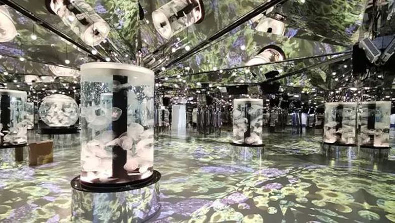 臺(tái)灣 Xpark 水族館，全方位沉浸式暢快游樂(lè)體驗(yàn)