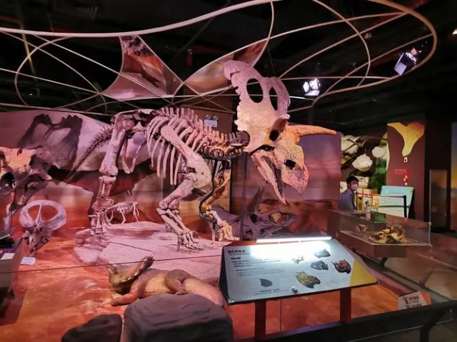 淺析自然科學博物館設計要求