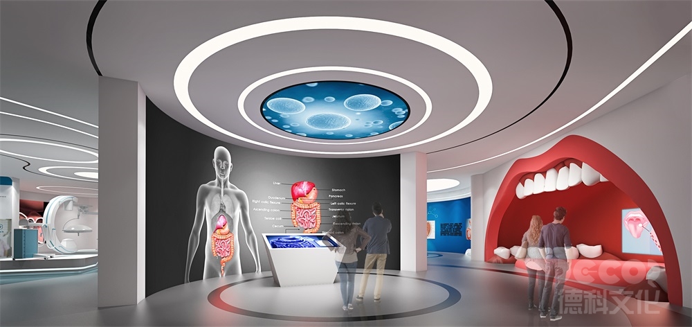 科技館設(shè)計如何劃分展區(qū)（如物理、生物、航天等）？